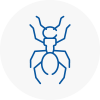 Ant Removals In Braunstone