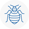 Bed Bug Extermination In Braunstone