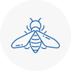 Bee Nest Removal Braunstone