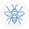 Braunstone Hornet Nest Removals