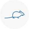 Mice Exterminators In Braunstone