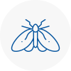 Moth Control Specialists In Braunstone