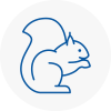 Braunstone Rodent Removals
